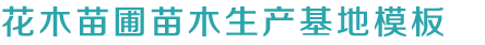 凯发APP